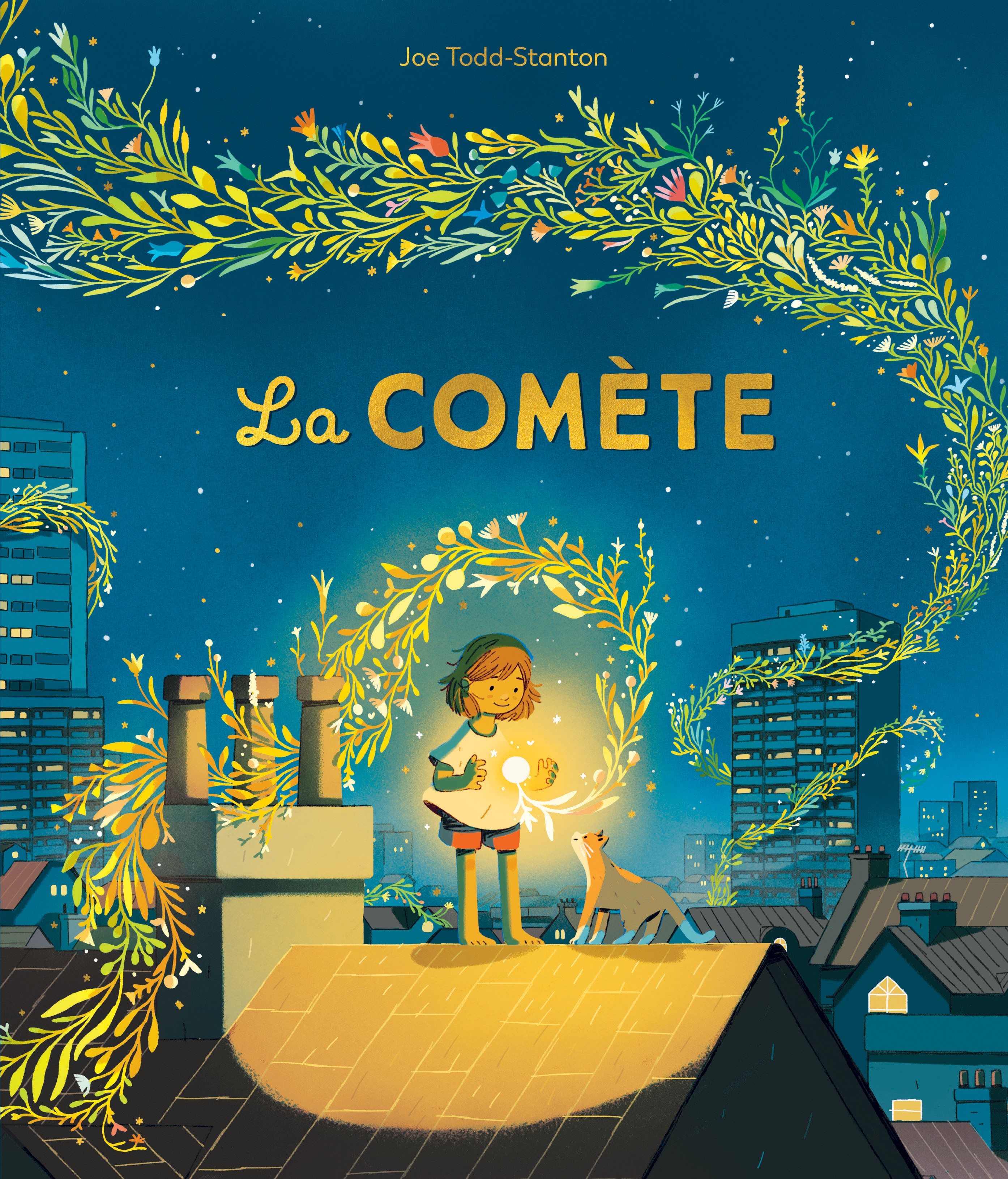 La comète - Click to enlarge picture.