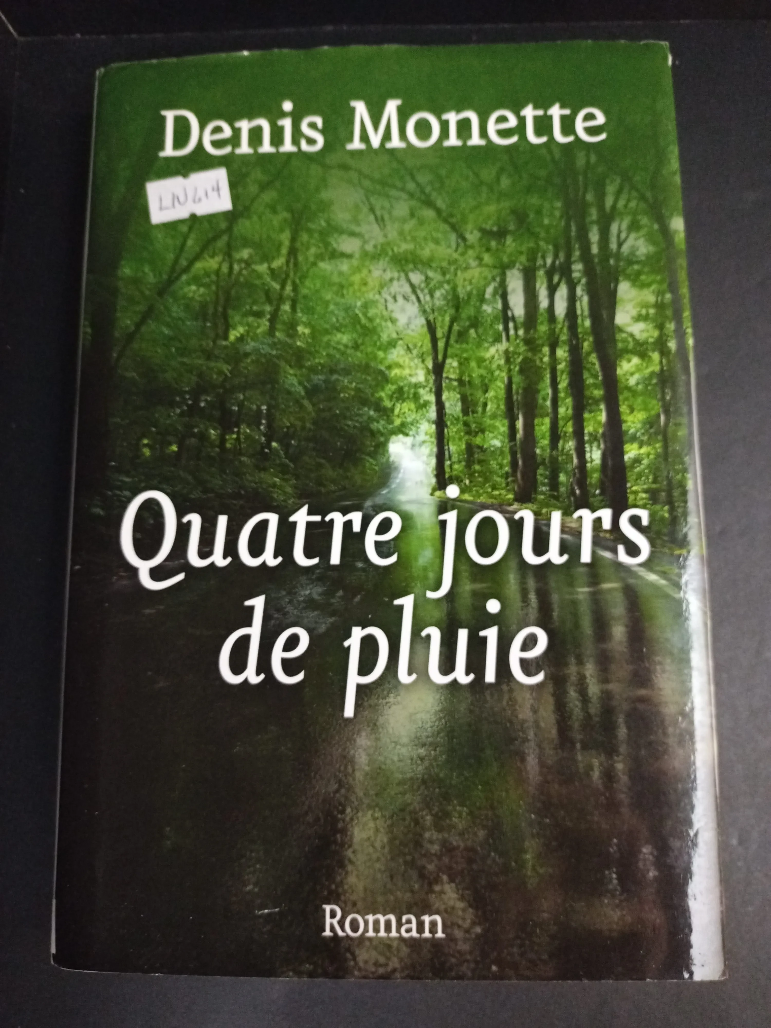 Quatre Jours de Pluie - Click to enlarge picture.