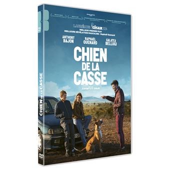 Chien de la casse - Click to enlarge picture.