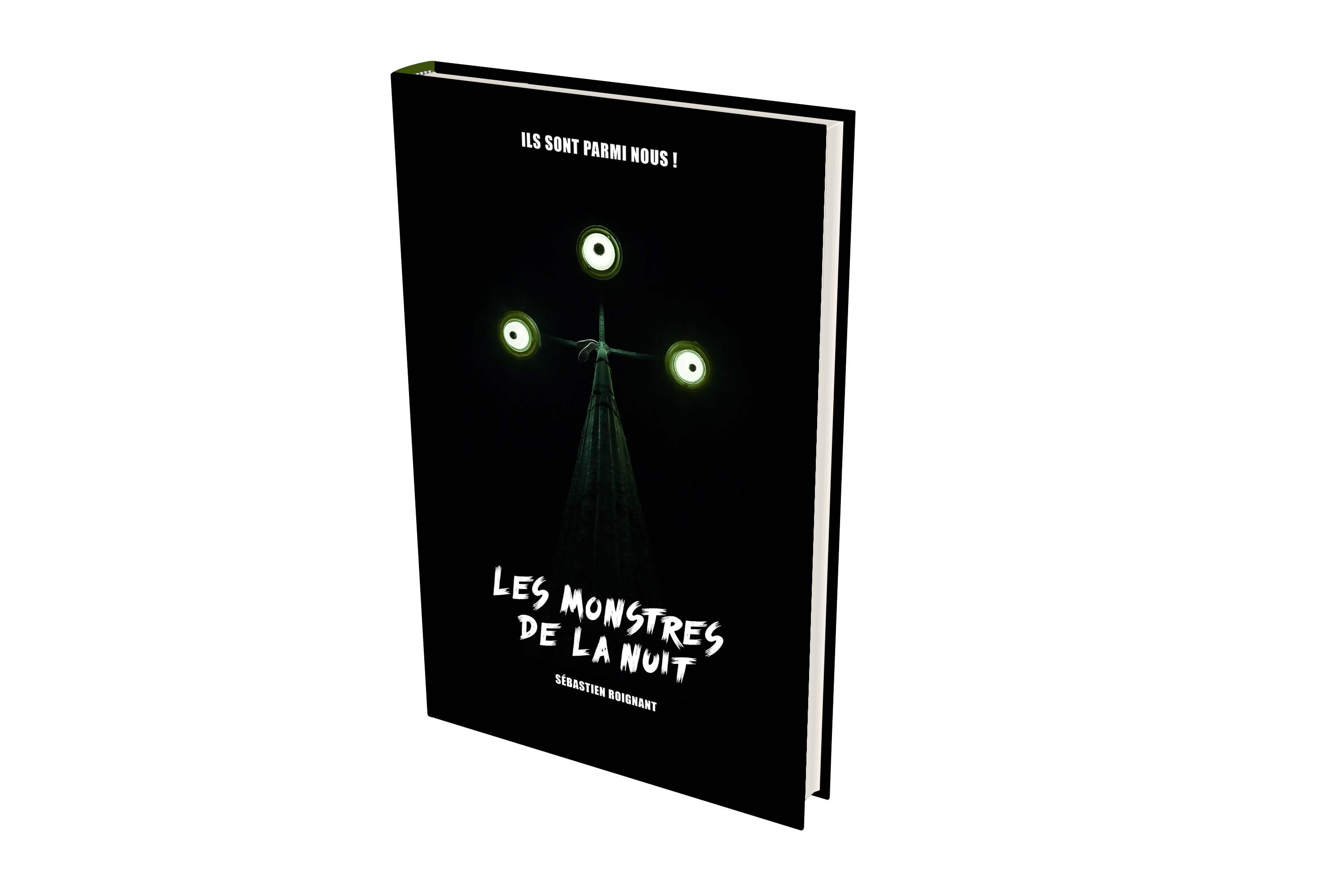 Les monstres de la nuit - Click to enlarge picture.
