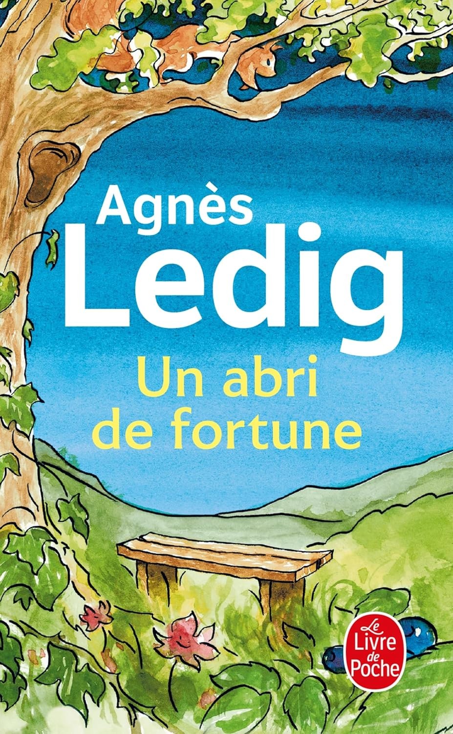Un abri de fortune - Click to enlarge picture.
