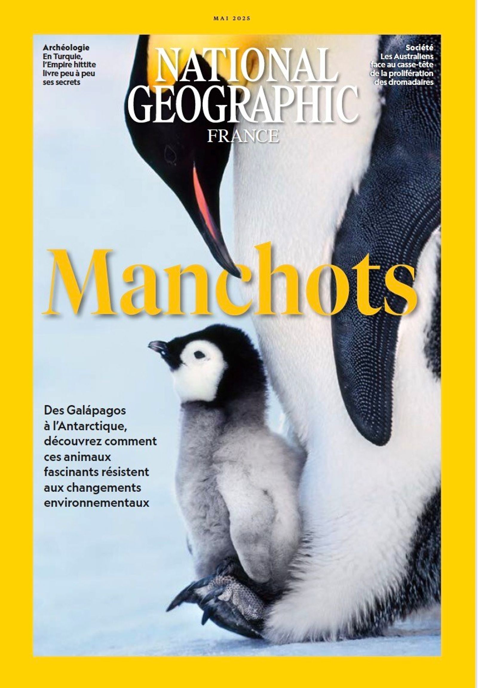National Geographic France - Click to enlarge picture.