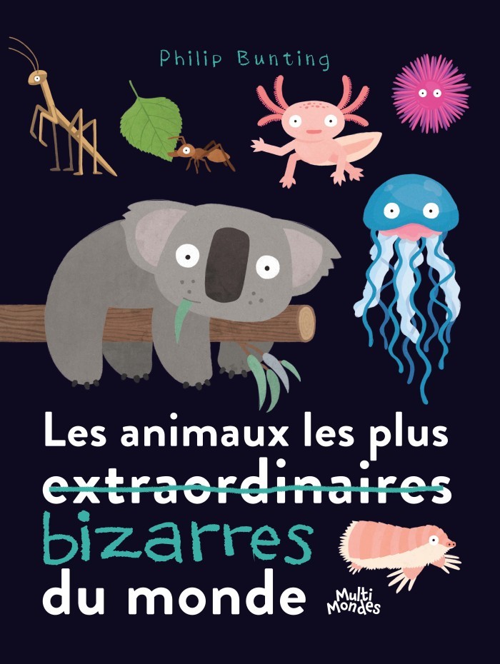 Les animaux les plus bizarres du monde - Click to enlarge picture.