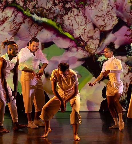 Dance Show - Mosaïco